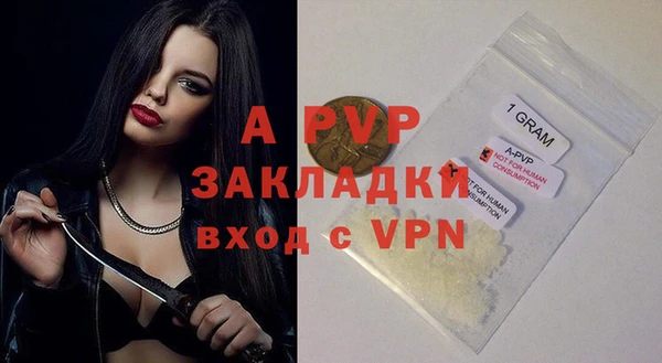 хмурый Гусев