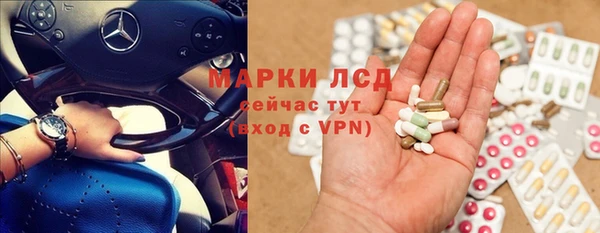 гашик Алзамай
