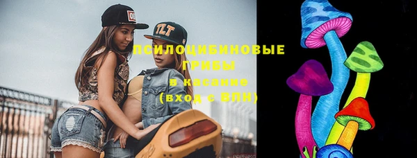 дурь Алексин