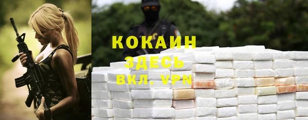 гашик Алзамай