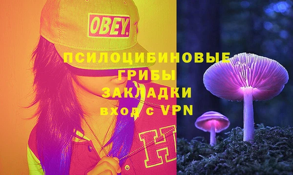 соль ск Гусиноозёрск