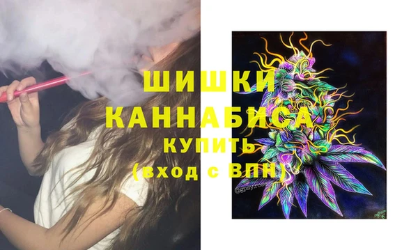 гашик Алзамай