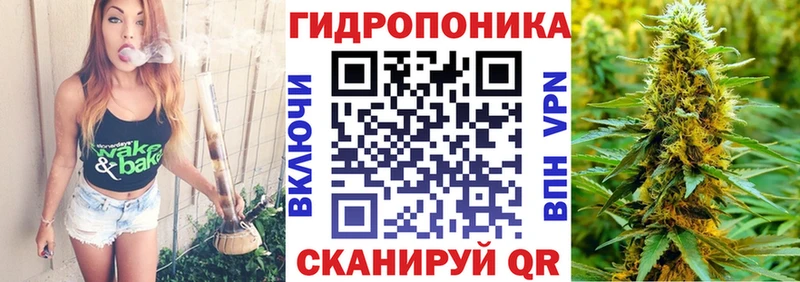 Марихуана ГИДРОПОН  купить наркотики сайты  Шелехов 